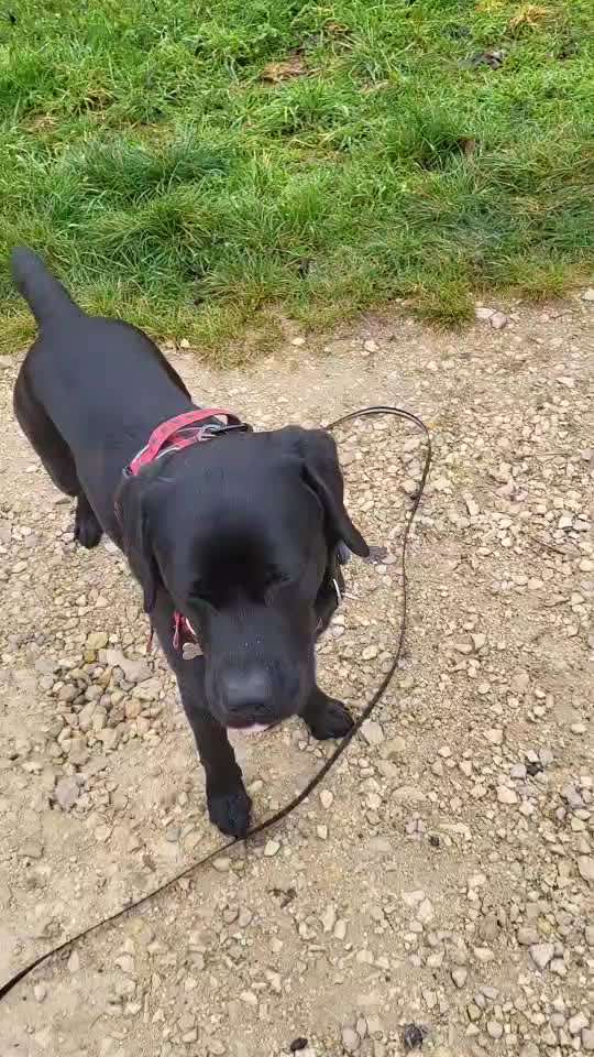 Nr. 64 Selbstständig warten zum Einleinen-Beitrag-Bild