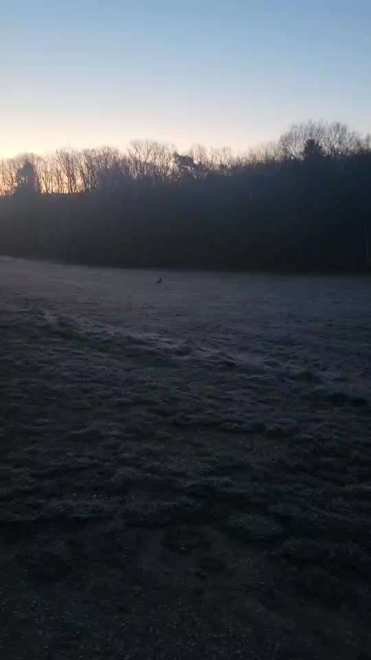 Was hat euch heute gefreut?-Beitrag-Bild