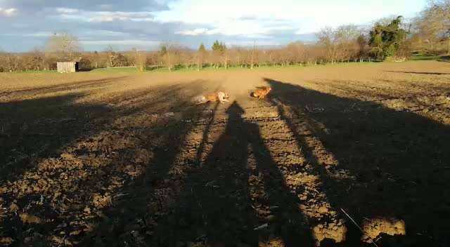 Lieblings Schnappschuss?-Beitrag-Bild