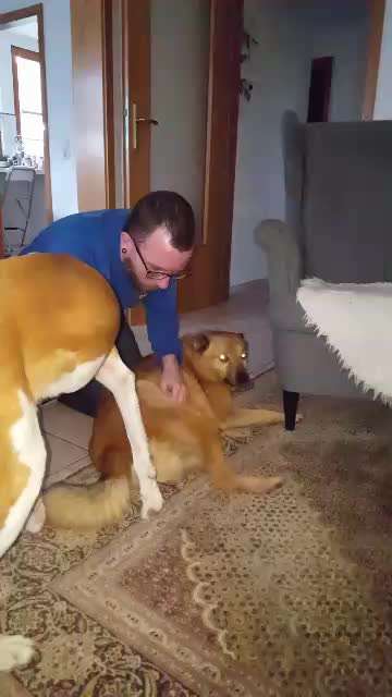 Lieblings Schnappschuss?-Beitrag-Bild