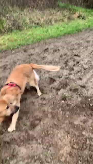 Lieblings Schnappschuss?-Beitrag-Bild