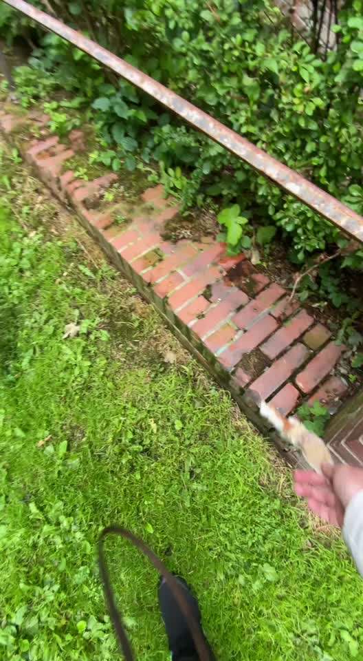 Dummy Training-Beitrag-Bild