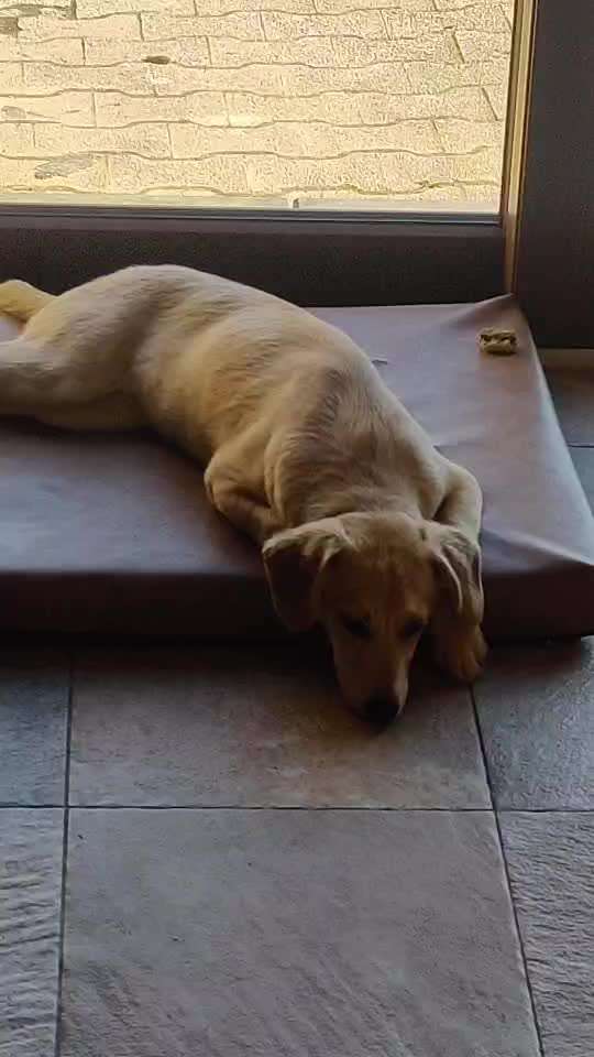 ATMET KOMISCH-Beitrag-Bild