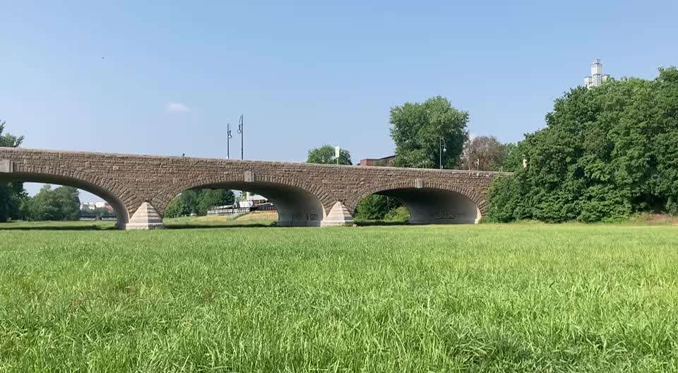 Trend Straßenhund- wer profitiert tatsächlich?-Beitrag-Bild