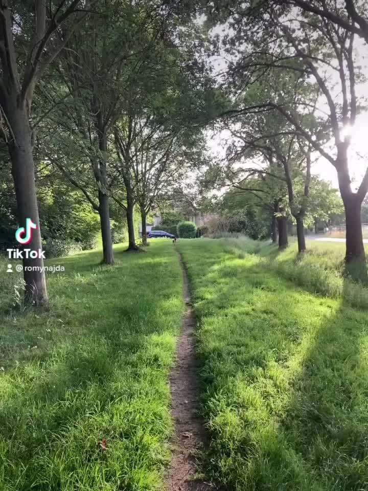 Hunde aus Griechenland-Beitrag-Bild