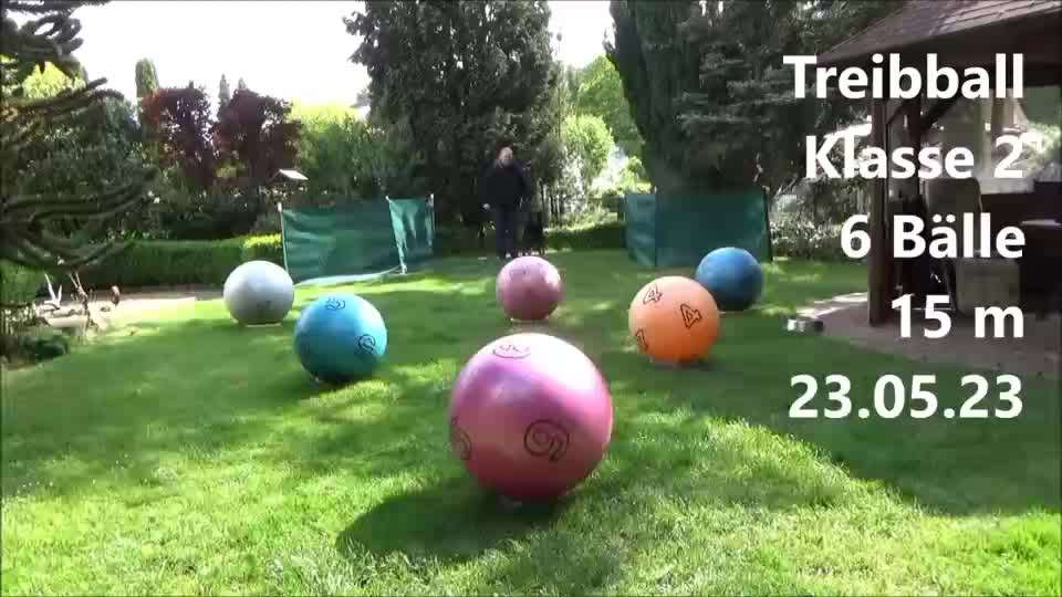 Trick Challenge Nr. 21 Treibball-Beitrag-Bild