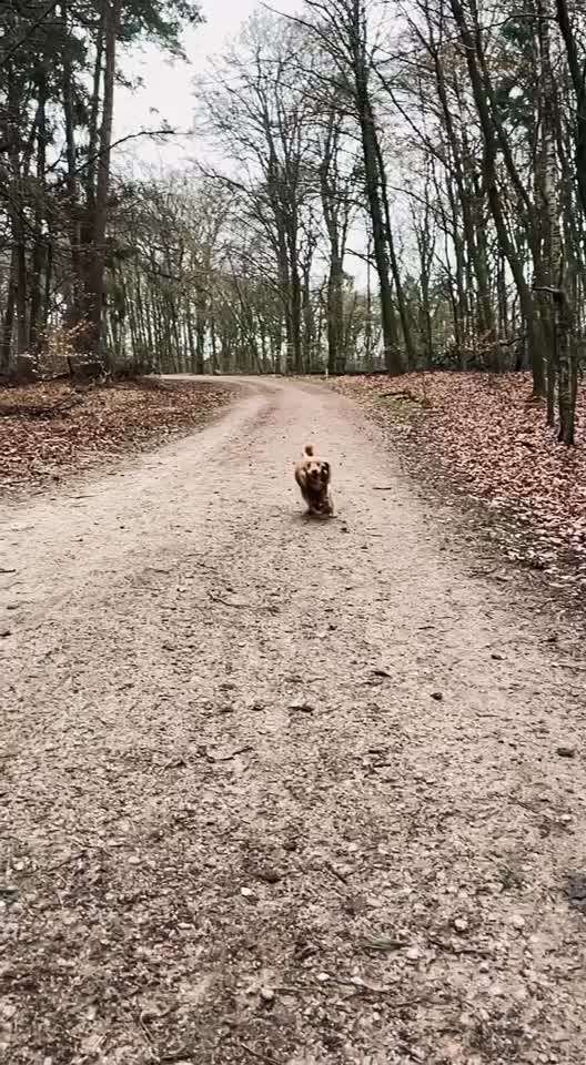 15. Video Challenge.  In SloMo die Welt erkunden!-Beitrag-Bild