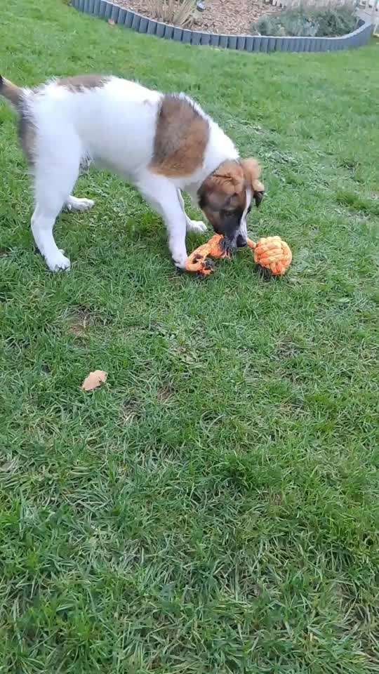 15. Video Challenge.  In SloMo die Welt erkunden!-Beitrag-Bild