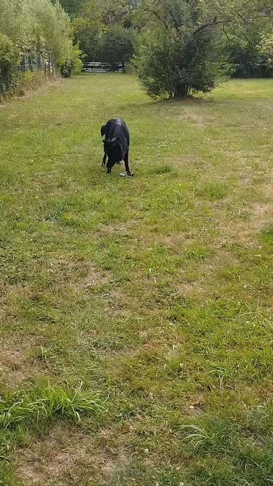 Ist das (noch) Spiel?-Beitrag-Bild