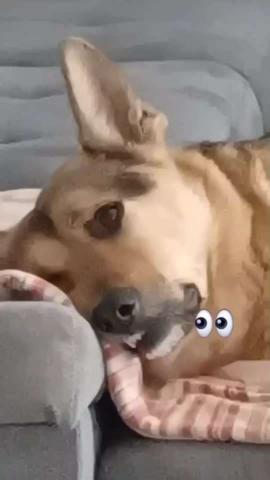 "Die eingefangene Magie des Augenblicks"-Beitrag-Bild