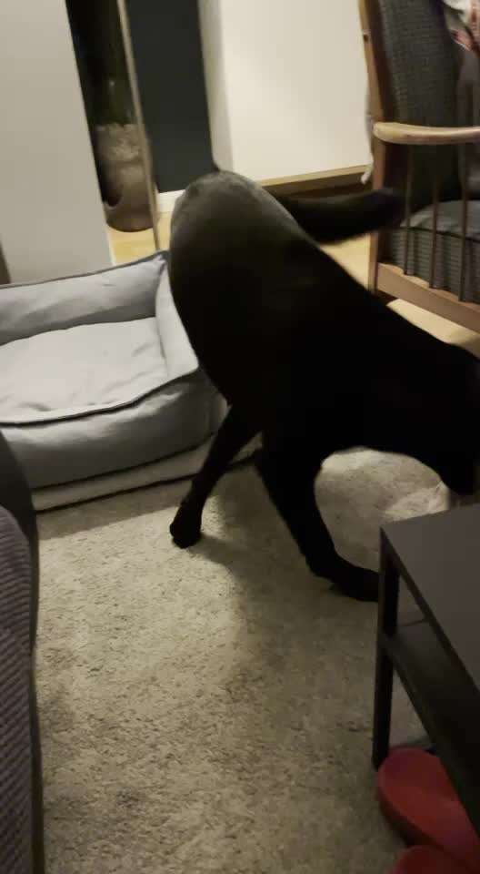 Spielzeug-Beitrag-Bild