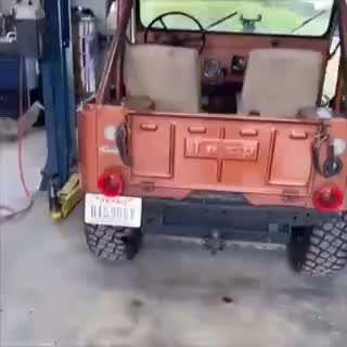 Hunde Memes-Beitrag-Bild