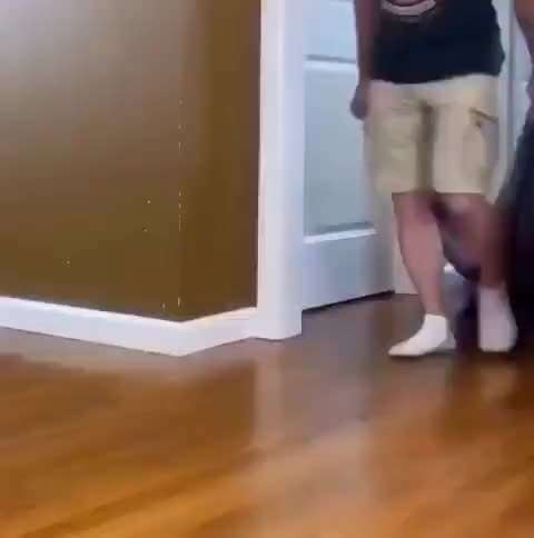 Hunde Memes-Beitrag-Bild