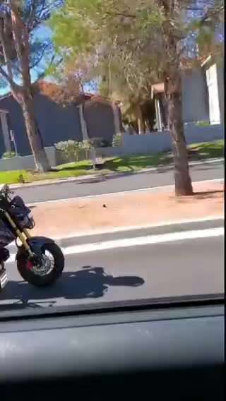 Hunde Memes-Beitrag-Bild