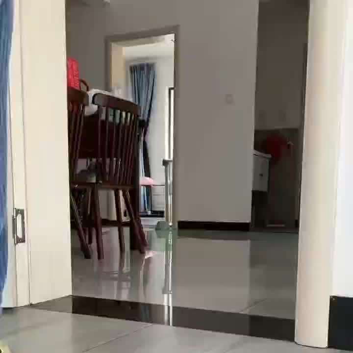 Hunde Memes-Beitrag-Bild