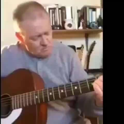 Hunde Memes-Beitrag-Bild