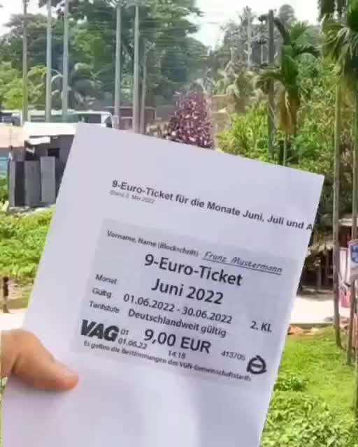 Hunde Memes-Beitrag-Bild