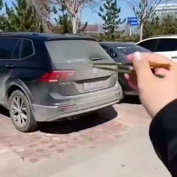 Hunde Memes-Beitrag-Bild