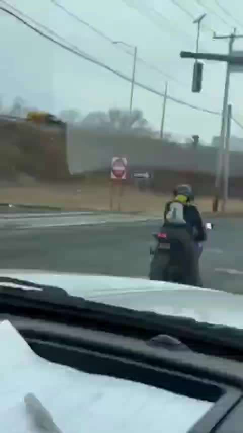 Hunde Memes-Beitrag-Bild