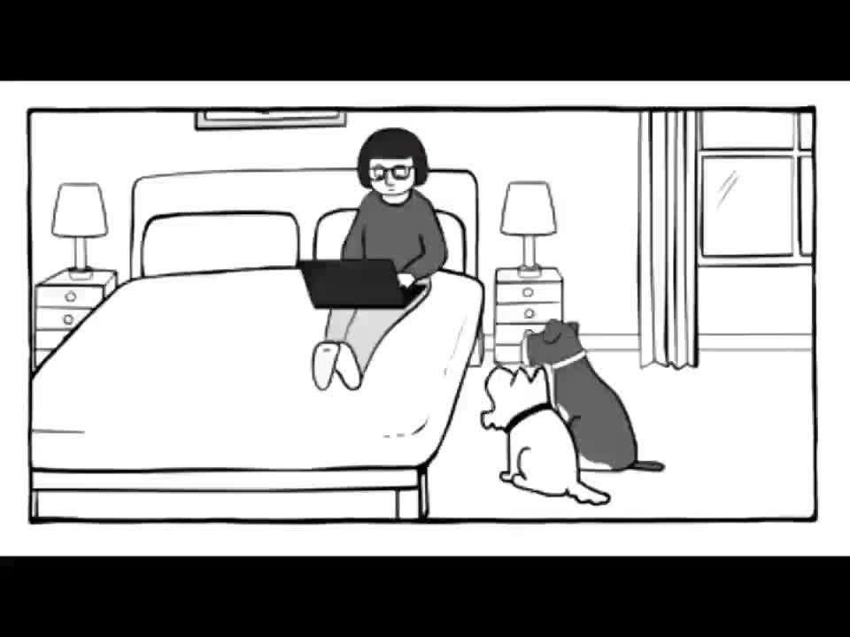 Hunde Memes-Beitrag-Bild