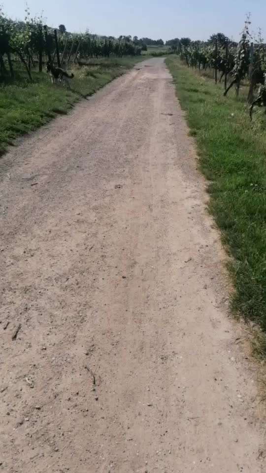 54. Impulskontrollchallenge  PAUSE MACHEN !-Beitrag-Bild