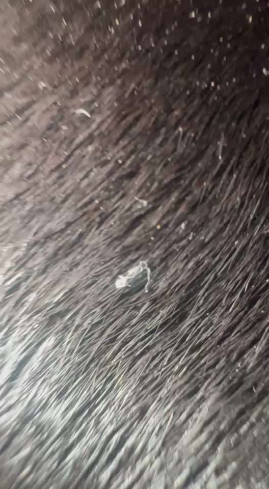 Wurmbefall ?-Beitrag-Bild