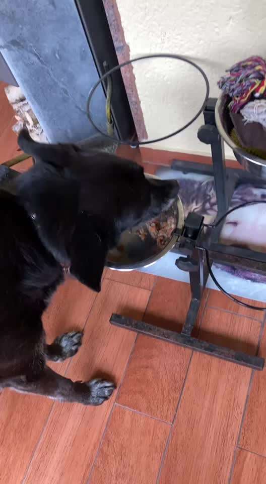 Blutuntersuchung-Beitrag-Bild