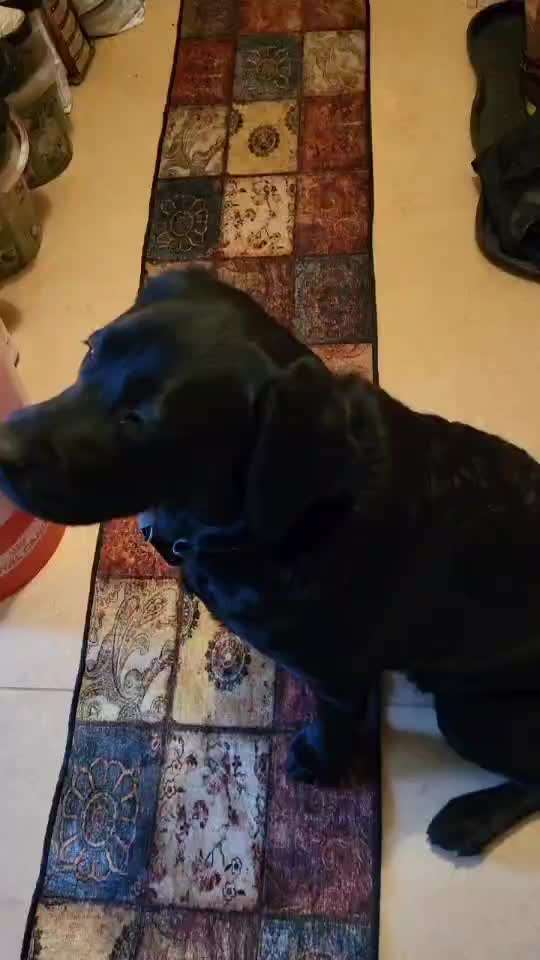 46. Video Challenge - Trainingserfolg-Beitrag-Bild