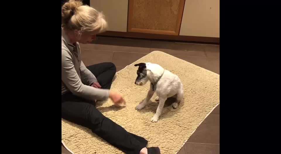 Kunststücke-Beitrag-Bild