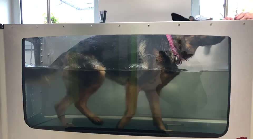 Hier ist der Spaßthread. Zum Schmunzeln und Kaputtlachen-Beitrag-Bild