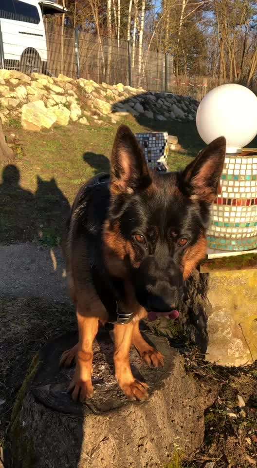 Trick Challenge Nr. 7-Beitrag-Bild