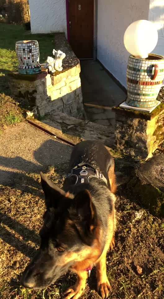 Trick Challenge Nr. 7-Beitrag-Bild