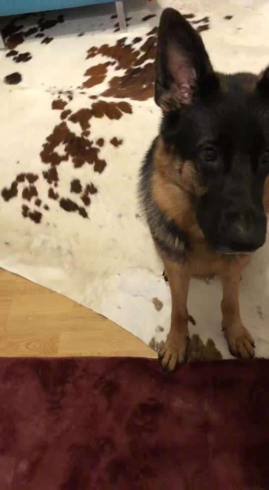 Trick Challange Nr 3-Beitrag-Bild