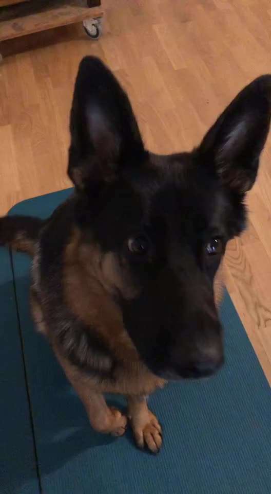 Trick Challenge Nr.5-Beitrag-Bild