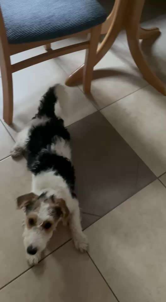 Trick Spiel - ich packe meinen 8. Koffer-Beitrag-Bild