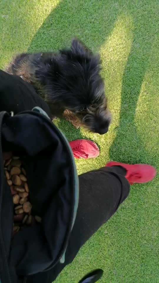 Trick Challenge Nr 6-Beitrag-Bild