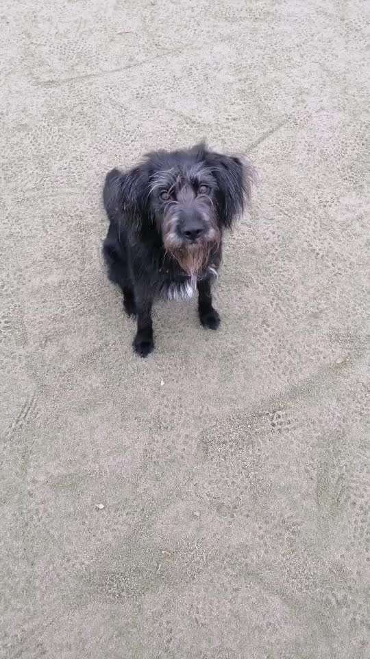 𝕋ℝ𝕀ℂ𝕂 ℂℍ𝔸𝕃𝕃𝔼ℕ𝔾𝔼 ℕℝ. 𝟚-Beitrag-Bild