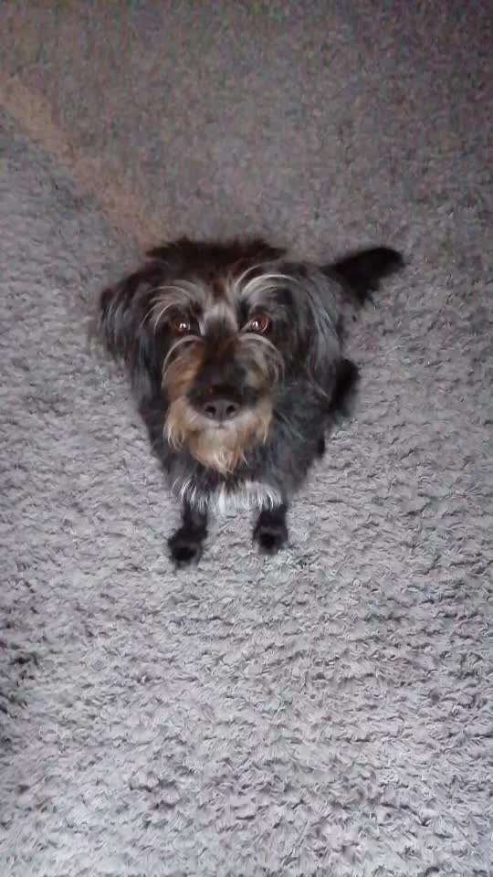 𝕋ℝ𝕀ℂ𝕂 ℂℍ𝔸𝕃𝕃𝔼ℕ𝔾𝔼 ℕℝ. 𝟙-Beitrag-Bild