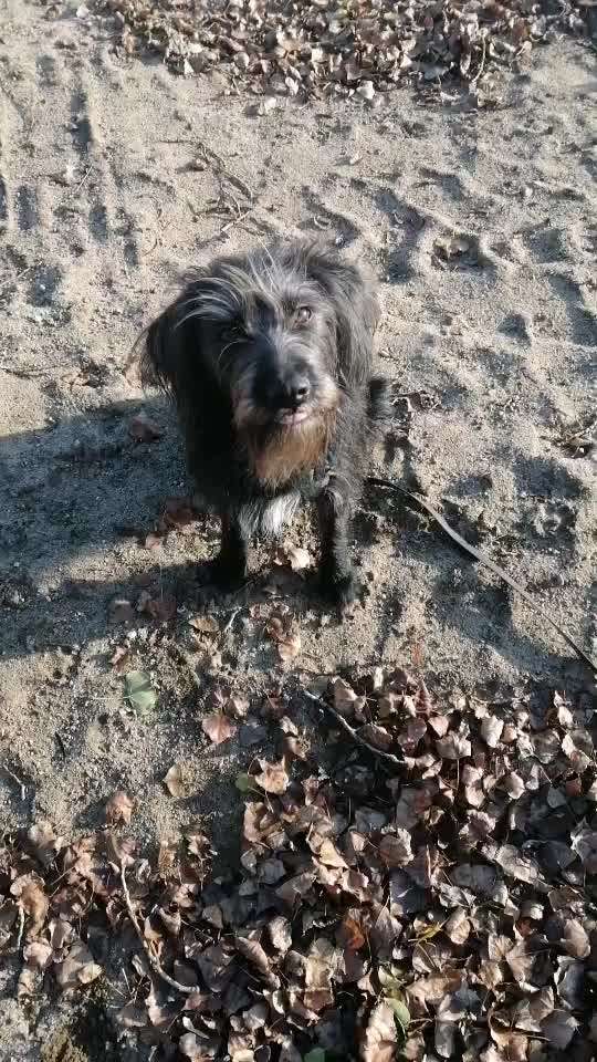 Trick Challange Nr 3-Beitrag-Bild