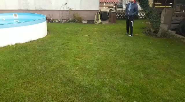 Französische Bulldoggen-Beitrag-Bild