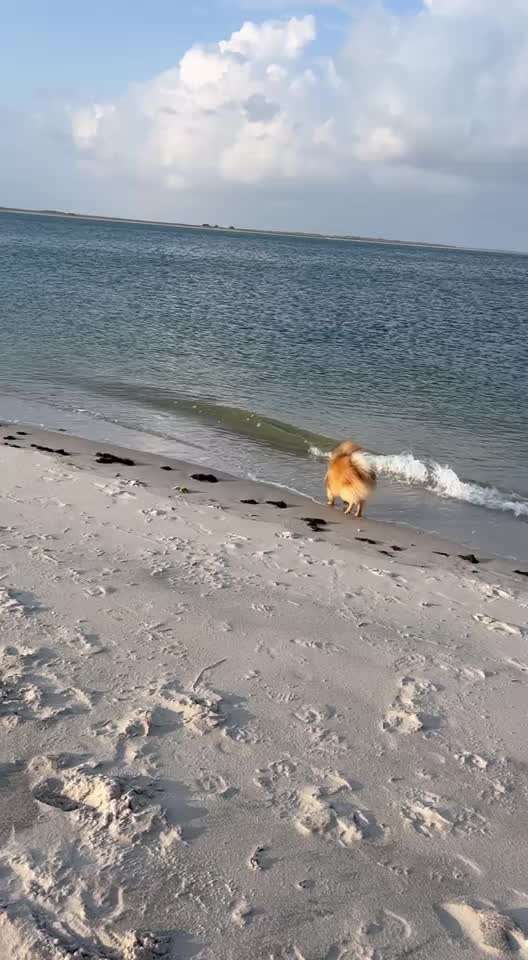 Urlaub am Meer-Beitrag-Bild