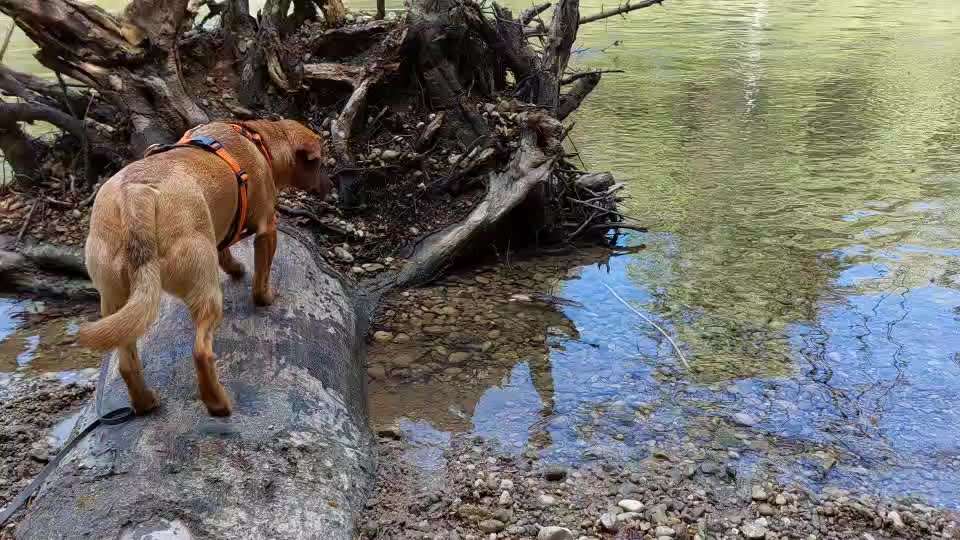 50. Video Challenge - Wasserscheu oder nicht-Beitrag-Bild