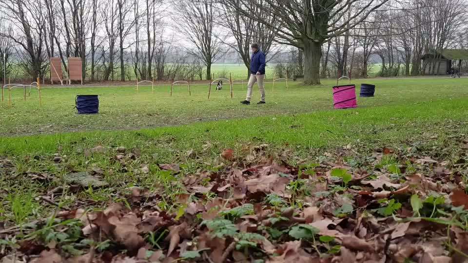 Home Office im Lock Down mit Hoops Marke Eigenbau im Park-Beitrag-Bild