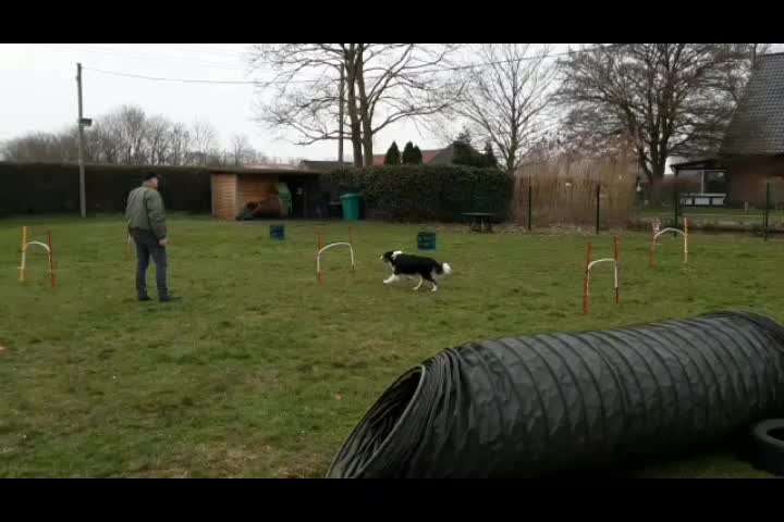 Hoopers Freunde hier?-Beitrag-Bild