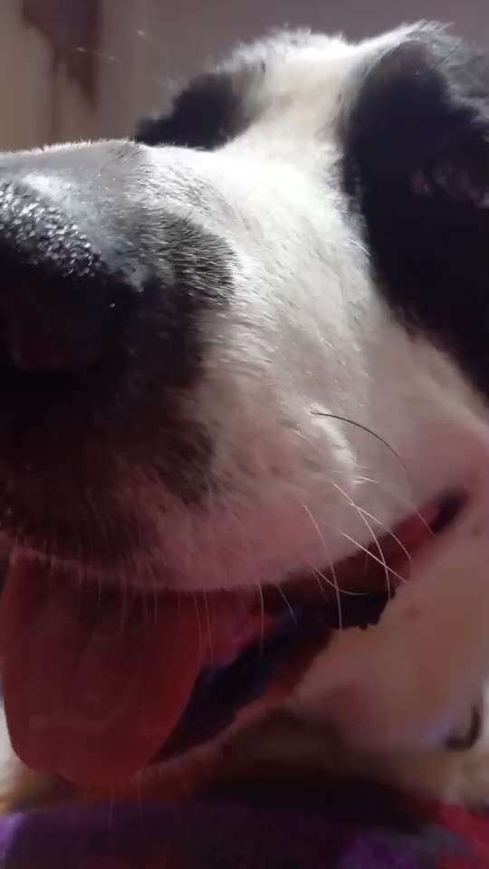 Total Nervös-Beitrag-Bild