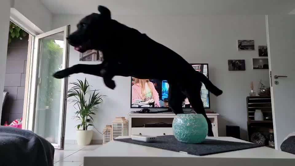 15. Video Challenge.  In SloMo die Welt erkunden!-Beitrag-Bild