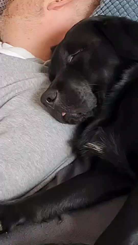 40. Handy Video Challenge - Im Land der Träume-Beitrag-Bild