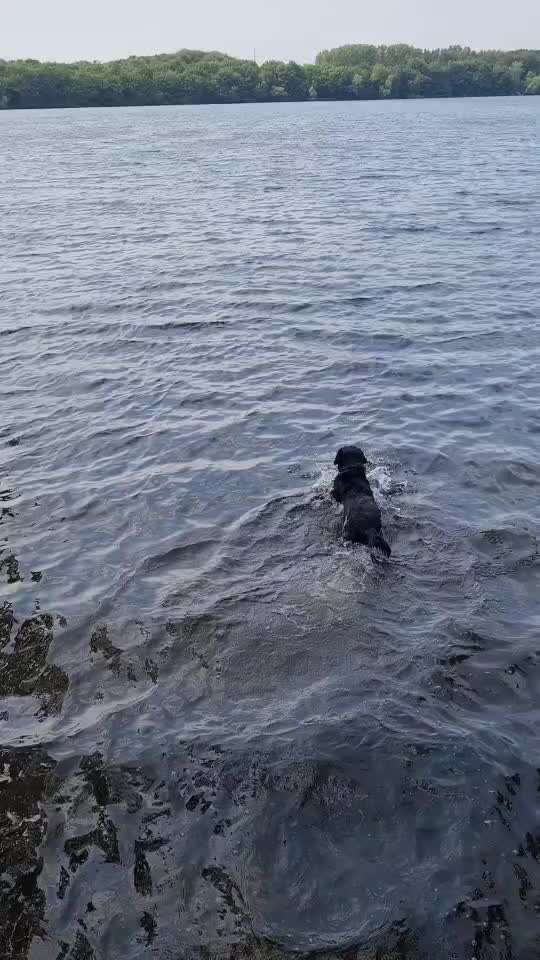 50. Video Challenge - Wasserscheu oder nicht-Beitrag-Bild