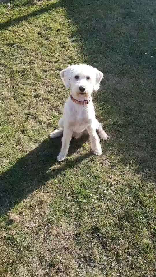 Ich brauche Ideen-Beitrag-Bild