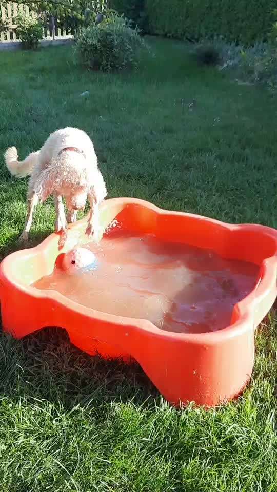 Ich brauche Ideen-Beitrag-Bild